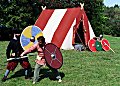 Viking sword and shield demo