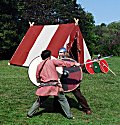 Viking sword and shield combat demo