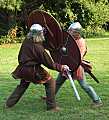 viking sword and shield combat demo