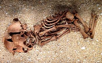 child's skeleton from the Viking age