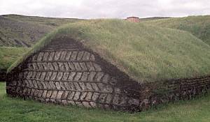 Stong herringbone turf