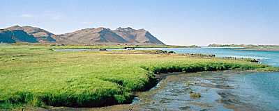 Hvitarvellir game field