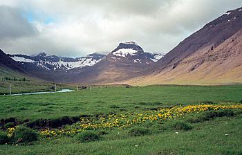 Haukadalur