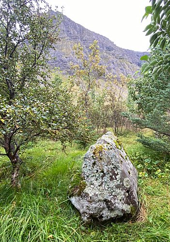 wrestling stone