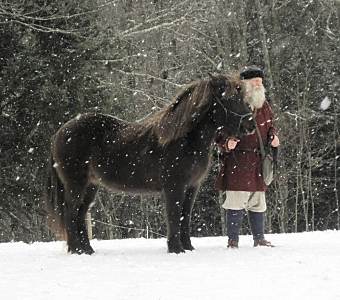 video shoot on a horse farm